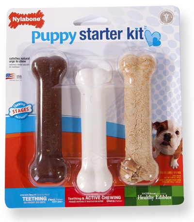 Nylabone durable chew puppy starter kit