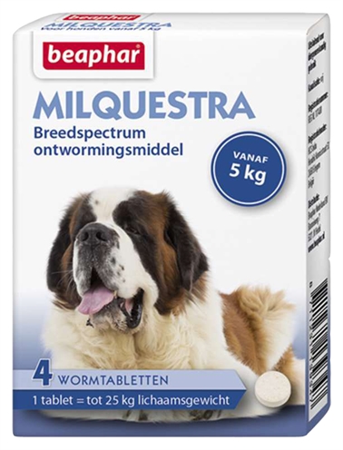 Beaphar milquestra hond