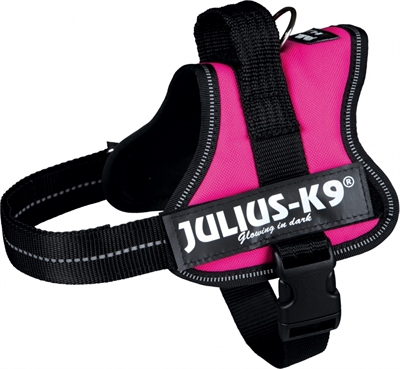 Julius k9 powerharnas - tuig voor labels fuchsia