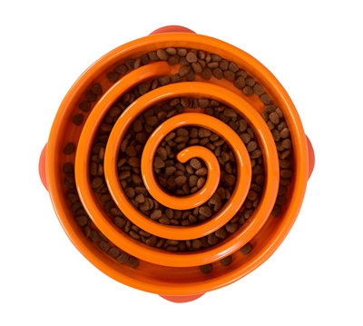 Slobowl feeder coral oranje